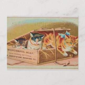 Carte Postale Annonce de savon Cutest Kittens