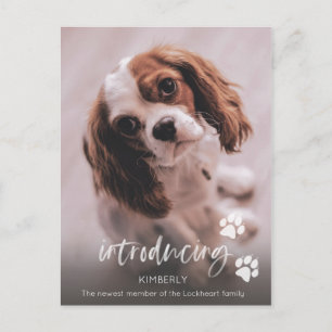 Carte Postale Annonce d'un nouveau chiot, Adoption d'un chien ad