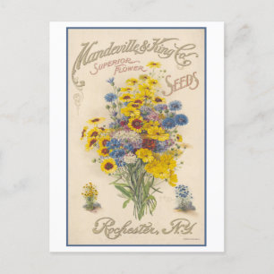 Carte Postale Annonce vintage Mandeville Semences Fleurs