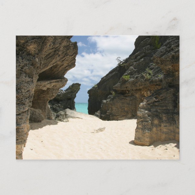 Carte Postale Anse de Jobsons Bermudes (Devant)