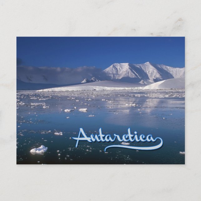 Carte Postale Antarctique (Devant)