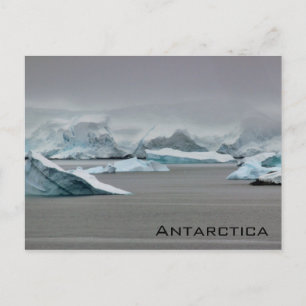 Carte Postale Antarctique