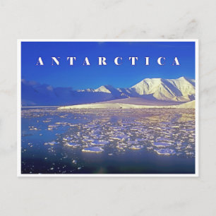 Carte Postale Antarctique