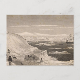 Carte Postale Antarctique 2