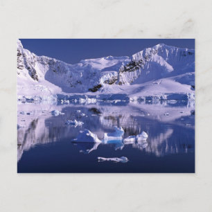 Carte Postale Antarctique, baie Paradise