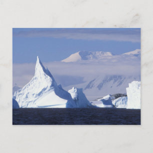 Carte Postale Antarctique, île Boothe, soleil de l'après-midi