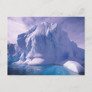 Carte Postale Antarctique. Sauvages de glace antarctique