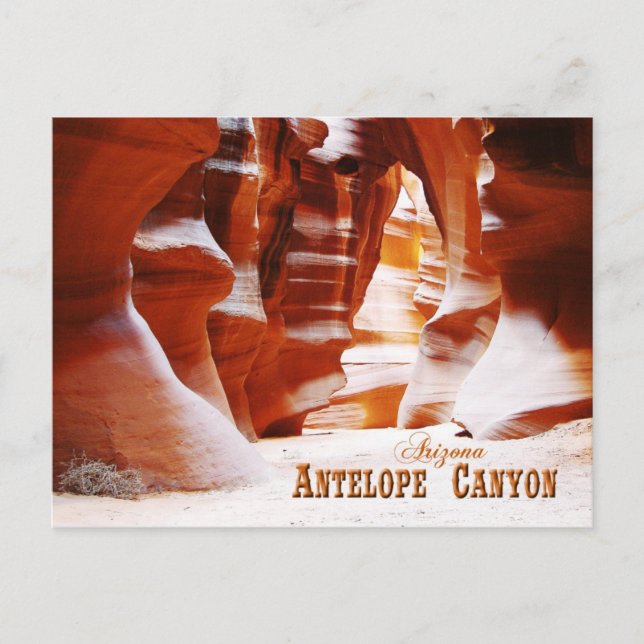Carte Postale Antelope Canyon, Arizona (Devant)