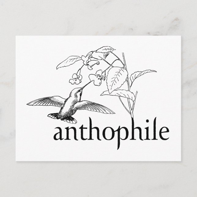 Carte Postale Anthophile (Devant)