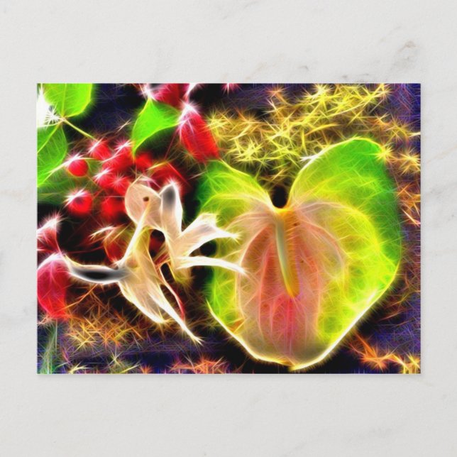 Carte Postale Anthurium (Devant)