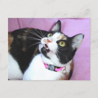 Carte Postale anticipation