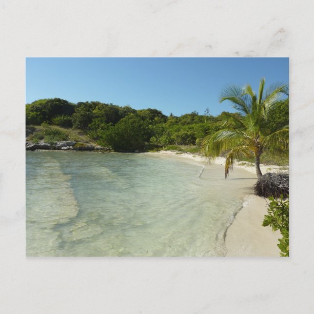 Carte Postale Antiguan Beach Beautiful Tropical Landscape (Devant)