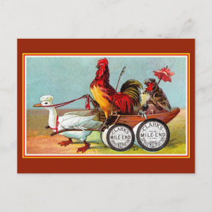 Carte Postale Antique drôle poulets canard coton spool