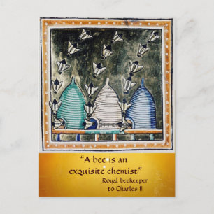 CARTE POSTALE ANTIQUE HONEY BEES BEE HIVES BEEKEEPER, BEEKEEPER
