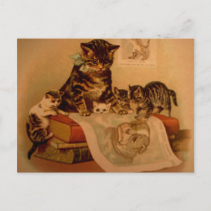 Carte Postale Antique Kittens & Books Kitty School
