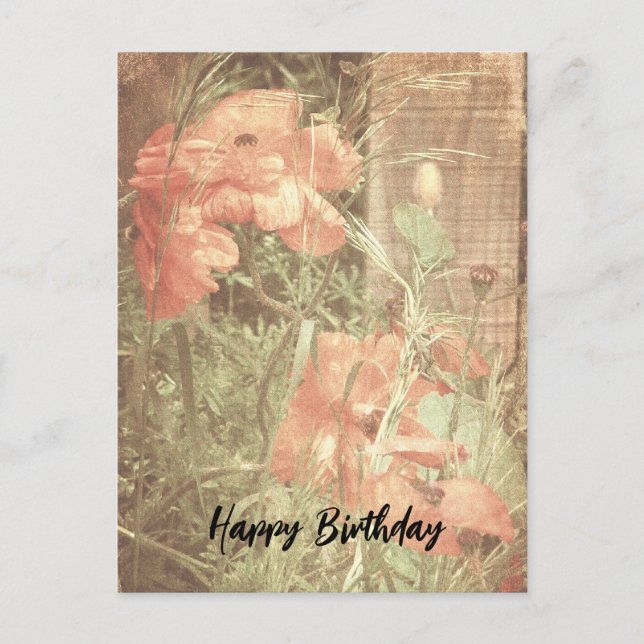 Carte postale Antique Poppies (Devant)