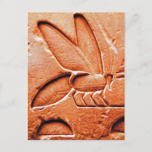 CARTE POSTALE ANTIQUE ROUGE EGYPTIEN HONEY BEE BEEKEEPER (Devant)
