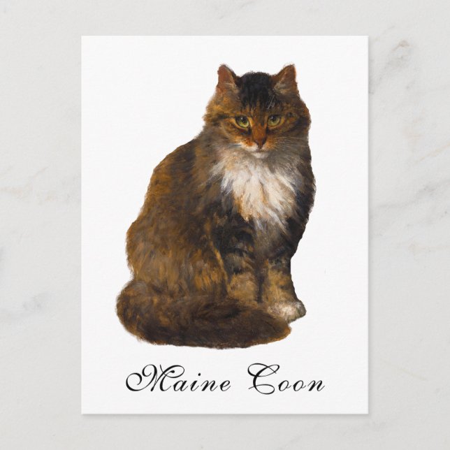 Carte Postale Antique Victorienne Maine Portrait de chat Portrai (Devant)