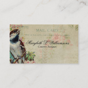 Carte postale antique vintage d'oiseau