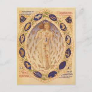 Carte Postale Antique Zodiaque céleste, Astrologie Vintage