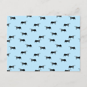 Carte Postale Ants (homonymie)