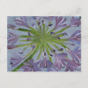 Carte Postale Août Agapanthus