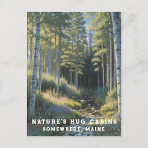 Carte Postale *~* AP49 Nature Maine Forest Woods Vacation Stream
