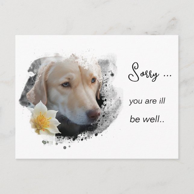 Carte Postale *~ AP61 Flower Sick Get Well Gold Chien (Devant)