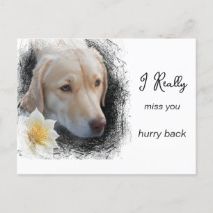 Carte Postale *~  AP61 Triste Chien aux Cheveux Courts Fleur Tu 