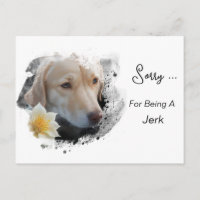 *~* AP61 Triste Lab Retriever Fleur Désolé Connard