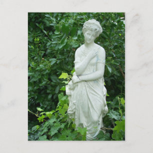 Carte Postale Aphrodite en Euonymus & Ivy Garden