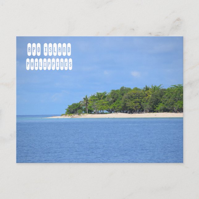 Carte Postale Apo Island à Mindoro Philippines (Devant)