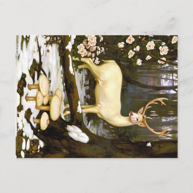 Carte Postale Appalachian Animals  (Devant)