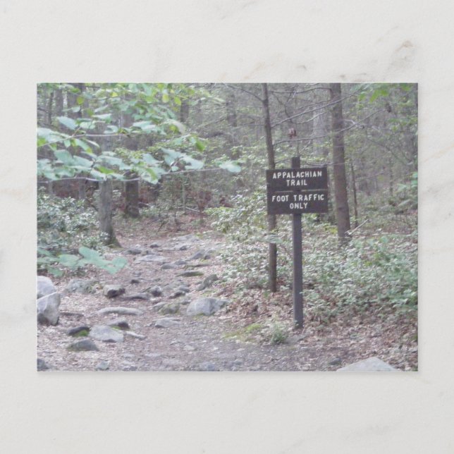 Carte Postale appalachian trail pennsylvania soumountain (Devant)