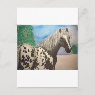 Carte Postale Appaloosa hiver