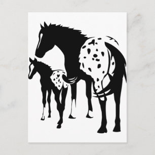 Carte Postale Appaloosa Mare et Foie