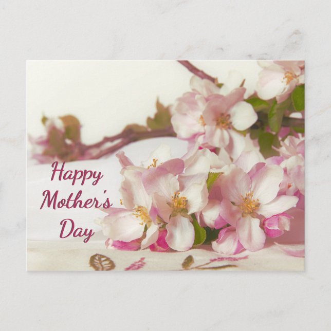 Carte postale Apple Blossom (Devant)