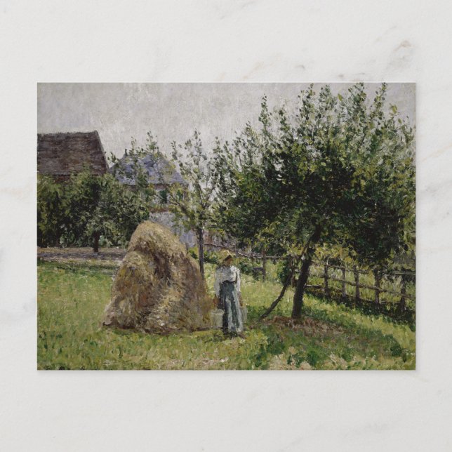 Carte Postale Apple Trees | Sunny Morning (Devant)
