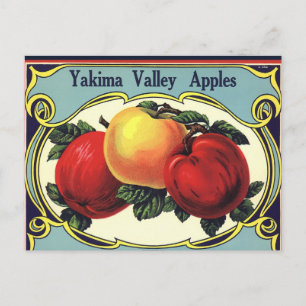 Carte Postale Apples Yakima