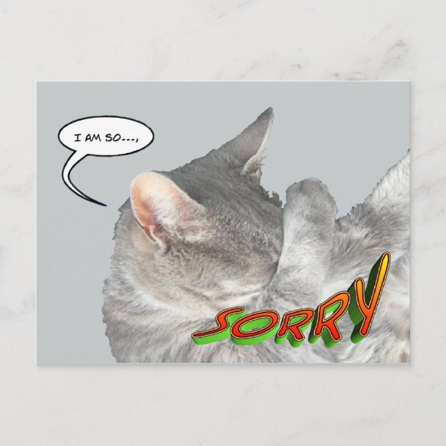 Carte postale Appologie Cute Cat (Devant)