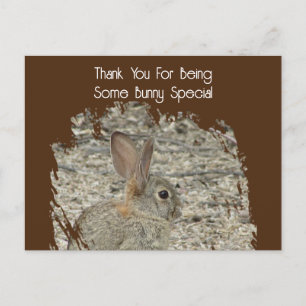 Carte Postale Appréciation de l'employé drôle Tan Bunny Pun affa