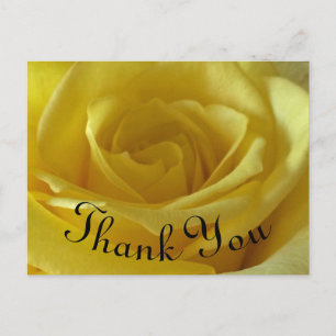 Carte Postale Appréciation photo rose Merci
