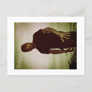 Carte Postale Approachable Wolf Post Card Print