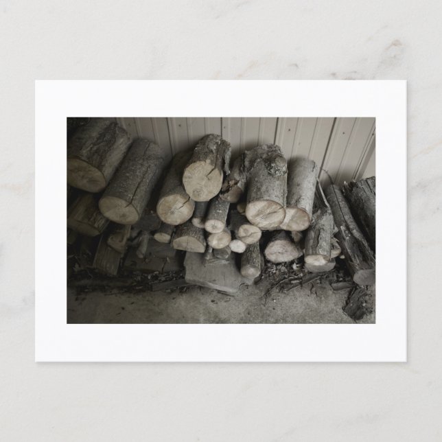 Carte Postale Approachable Wolf Post Card Print (Devant)