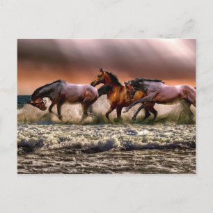 Carte Postale Après-Midi Amusant Dans Le Surf