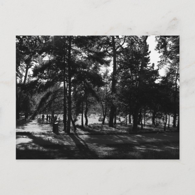 Carte Postale Après-midi dans le parc (Devant)