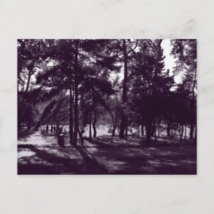 Carte Postale Après-midi dans le parc (Purple Toned BW)
