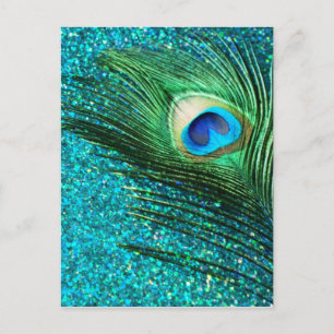 Carte Postale Aqua Peacock unique