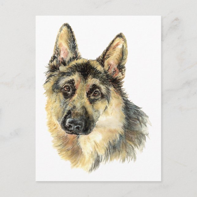 Carte Postale Aquarelle berger allemand animal animal de chien a (Devant)