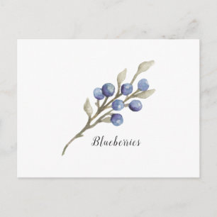 Carte Postale Aquarelle Blueberries Botanique